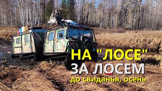 НА "ЛОСЕ" ЗА ЛОСЕМ или ДО СВИДАНЬЯ, ОСЕНЬ! PROтайгу