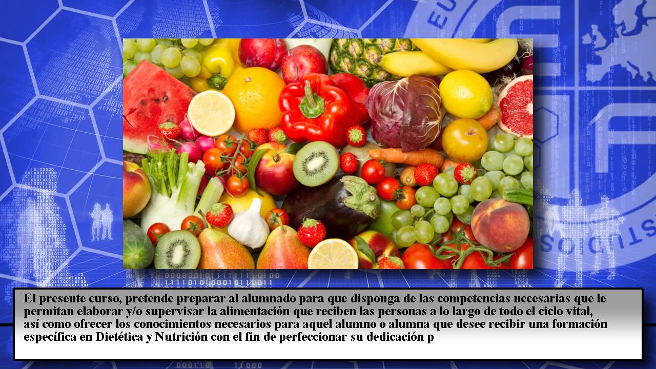 Cursos Youtube Online Euroinnova Cursos Youtube Online Euroinnova