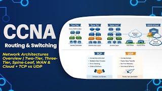 Network Architectures Overview | Two-Tier, Three-Tier, Spine-Leaf, WAN & Cloud + TCP vs UDP