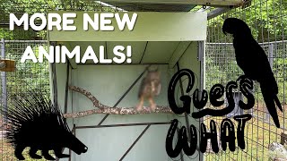 MORE NEW ANIMALS AT SWC | Part 3