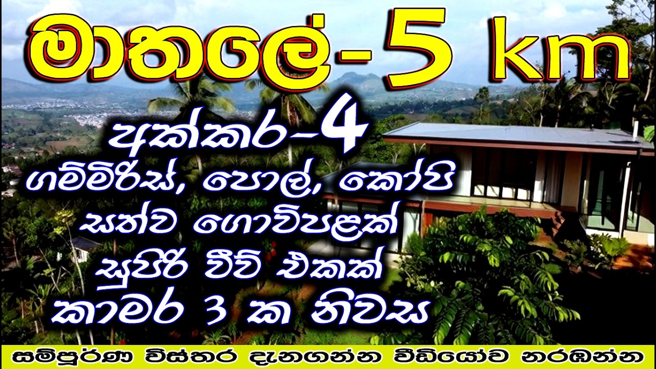 Profitable 4 Acre Farm Land Near Matale Town | Pepper, Coconut & Coffee Estate