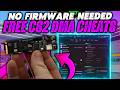 This DMA Cheat Requires NO Firmware &amp; ZERO Dollars (BETA)