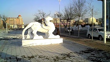 ACM ICPC 2010 Harbin Recap