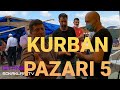 2020 Kurban Fiyatları - 5 | KURBAN PAZARI | KURBAN ÇADIRLARI | İstanbul Sokakları TV