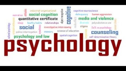 Psy502 (History & Systems of Psychology) Quizz No 3 Solution Spring 2019