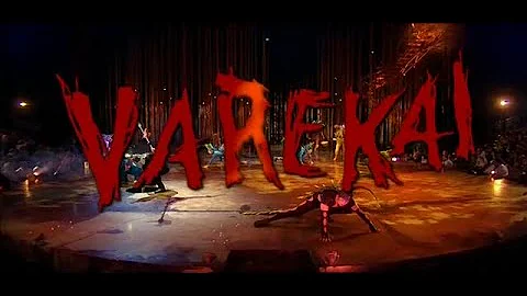 Cirque Du Soleil Varekei シルク・ドゥ・ソレイユ ヴァレカイ