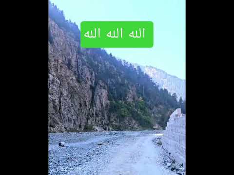 الشيخ عبد الباسط عبد الصمد رحمه الله