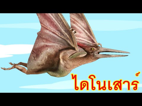 เพลงไดโนเสาร์ตัวใหญ่ I เพลงเด็กยิ้ม