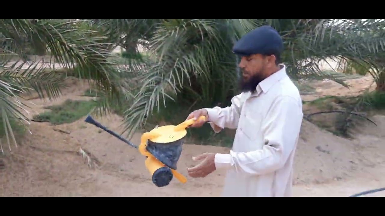 طريقة رش الكبريت الزراعي للوقاية من حلم الغبار(الغباش)