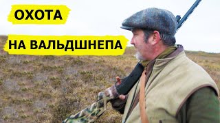 Охота на вальдшнепа. Неповторимый вкус охоты/FARMING THE WILD (Охотник и рыболов)