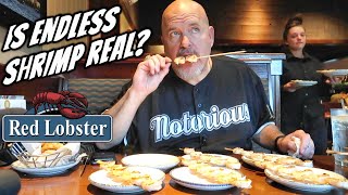 RED LOBSTER ENDLESS SHRIMP VS THE BUFFET KING - HOW MUCH IS TOO MUCH? by Notorious B.O.B. 225,149 views 7 months ago 11 minutes, 12 seconds