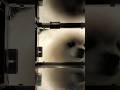Check my mailbox ~ #pomeranian #ポメラニアン #dog #cute #pets #morning #morningroutine #犬のいる生活