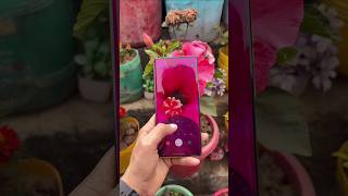 Motorola G85 5G⚡Smartphone camera test #reels #zoomtest #smartphone #shortvideo #ytshorts 😎💫📱