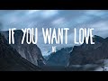 NF - If You Want Love (Lyrics)