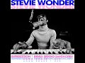 Stevie wonder   superstition  sergio santacreu remix