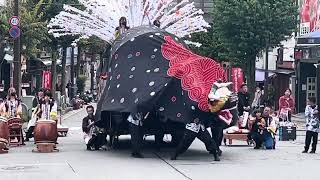 Lion Dance Festival 2023 in IIDA,Japan 南信州獅子舞フェスティバル