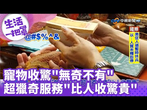 《生活一把罩》寵物收驚"無奇不有"！超獵奇服務"比人收驚貴"