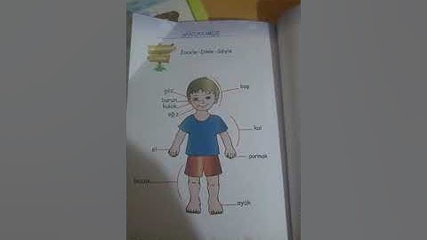 Yabancılara türkçe öğretimi 1 #Vücudumuz #Dileğitimi