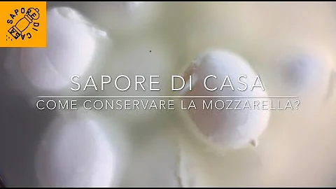 Come conservare mozzarella di bufala in estate?