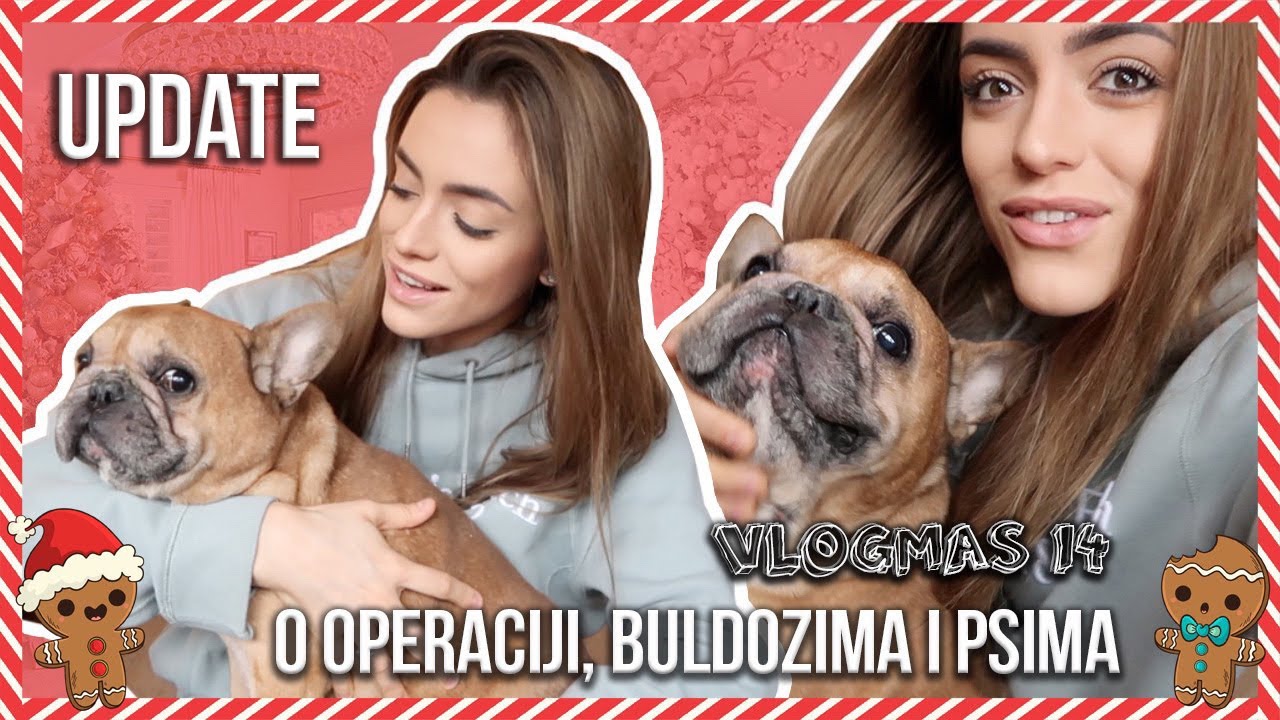 Pet Tag Update | Vlogmas 14