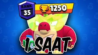 1 SAATTE BUZZ RANK 20 YAPMAYA ÇALIŞTIM / Brawl Stars