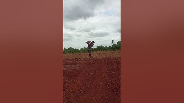 WhatsApp Video 2025 07 24 at 04 24 16 b393444f