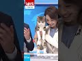 放送事故！放送中に可愛いキャスター爆誕w