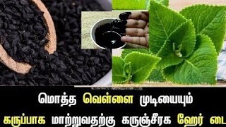 வெறு‌ம்?10 நிமிடத்தில்? நரை முடி? கருமையாக மாறும் Instant Hair Dye | Shiva Food Factory | Tamil ?