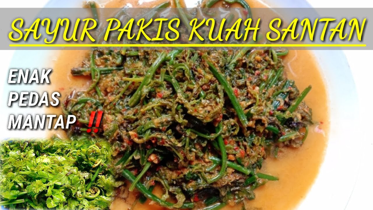 SAYUR PAKIS DIMASAK SEPERTI INI BIKIN KETAGIHAN 