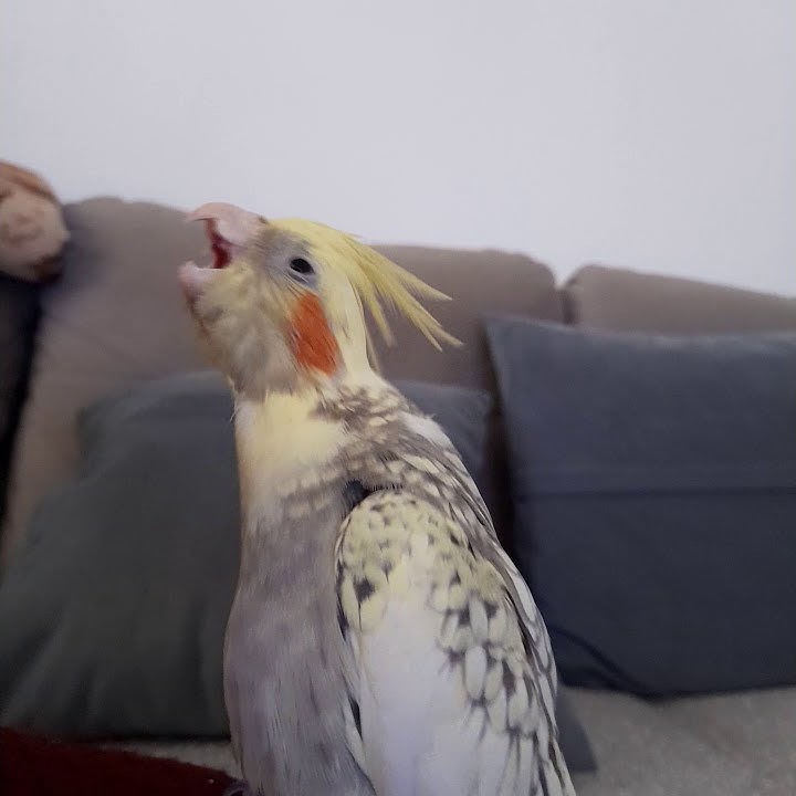 youtube.com