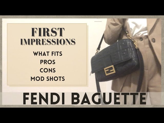 REVIEW: FENDI BAGUETTE BAG *6 Month Update* 