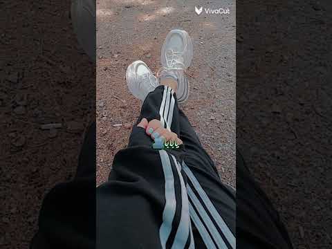 رمش خطاف والسحر أصناف