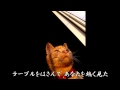 『まちぶせ』(徳永英明) 歌:SongCat Hiro