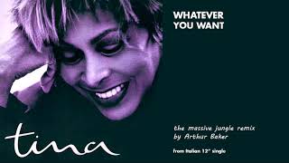 Tina Turner - Whatever You Want From Me (the massive jungle mix)