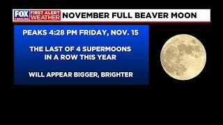 Peak viewing time for November's full Beaver Moon