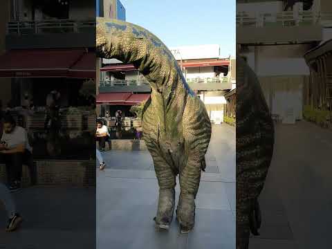 داينصور في مول بابلون الامارات بدني  لياقه  تمرين بدنيه  تقويات