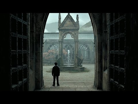 Vídeo: Qui va dirigir Harry Potter?