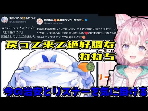 ねねち復帰!お帰り!とリスナーのみんなにも注意喚起する博衣こより【2024/11/19 #ホロライブ切り抜き  #ホロライブ #博衣こより】