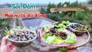 Soi Đêm Bắt Cá Mùa Nước Đổ Đồng Kiếm Được Toàn Đồ Ngon / Quế Nghịch