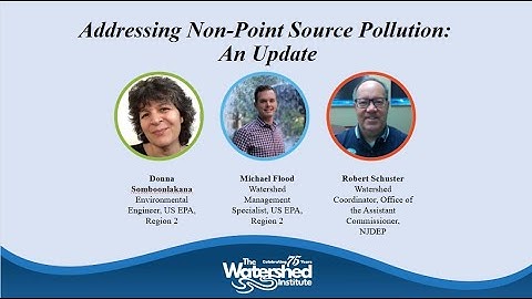 Addressing Non-Point Source Pollution: An Update