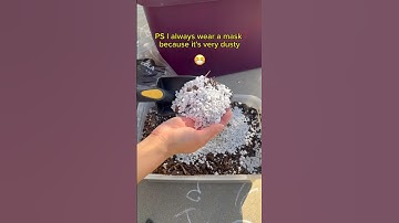 How I Make DIY SOIL for Houseplants #shorts #plantcare #indoorplants #tips #diy #plantsofyoutube