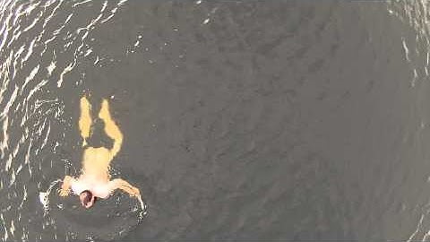 Killer whale captured on stunning drone video