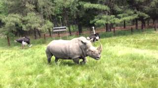 Six Flags Great Adventure Safari Off Road Adventure
