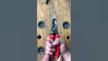 Every Pair of Strippers Should Have This Feature ⚡️