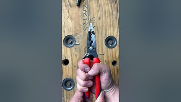 Every Pair of Strippers Should Have This Feature ⚡️