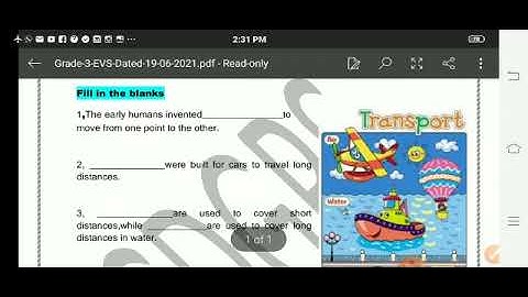 Grade 3 EVS Dated 19 06 2021