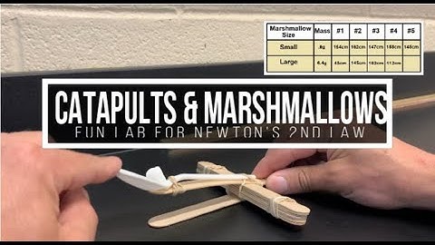Physics: Catapult Lab for Newton