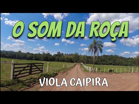 SÓ MODÃO RAIZ