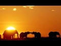 3 HOURS Best Relaxing Music | Africa | Shaman | Background, Relax, Sleep, Study, Meditatio