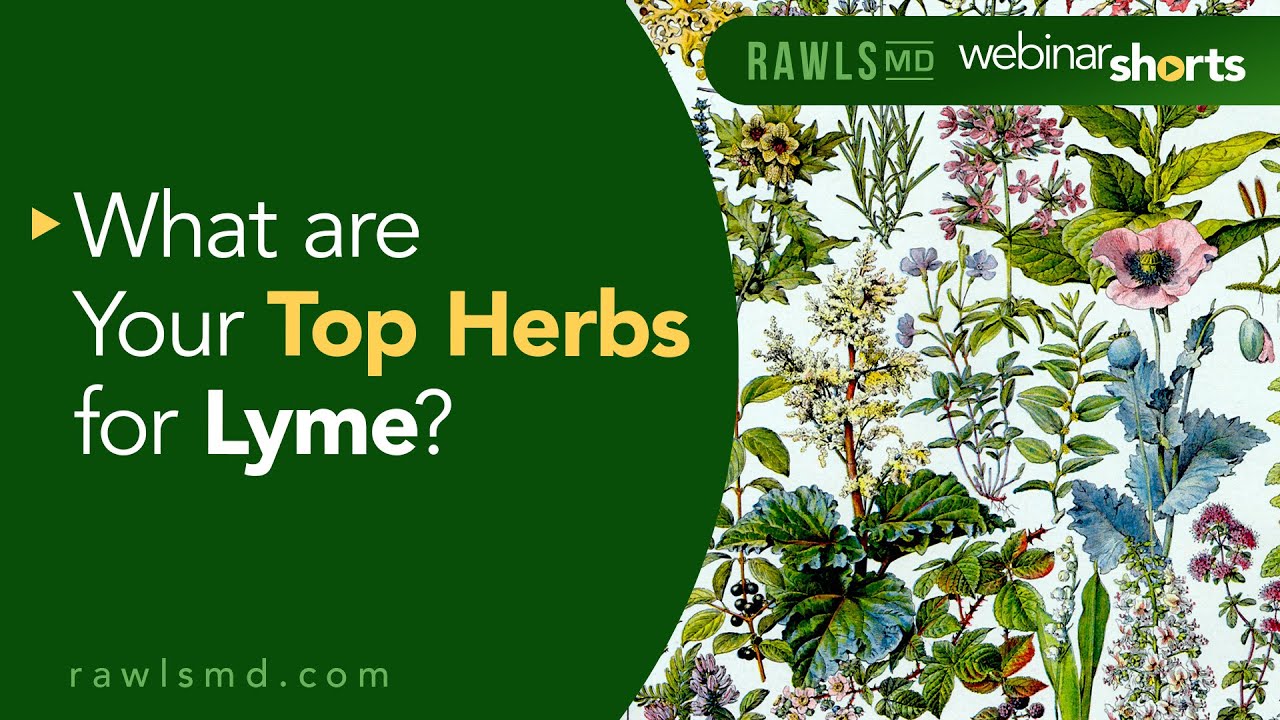 What are Your Top Herbs for Lyme? Rawls MD Webinar Short